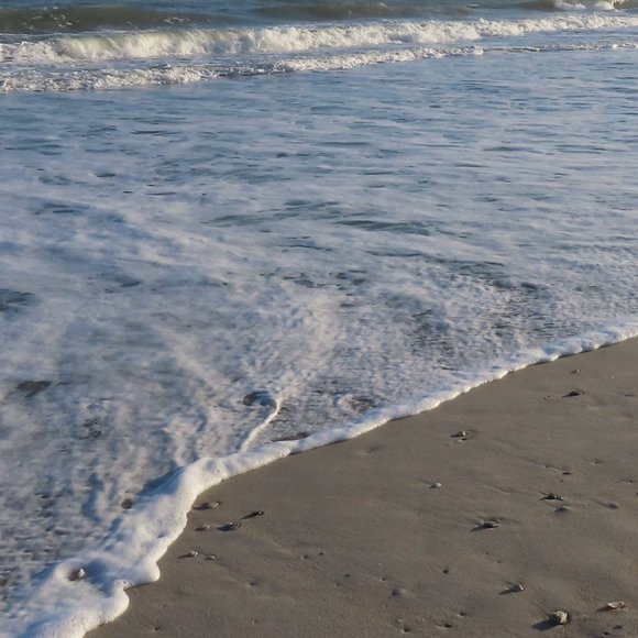 Meet your Posher, Kristy - Picture 1 of 1